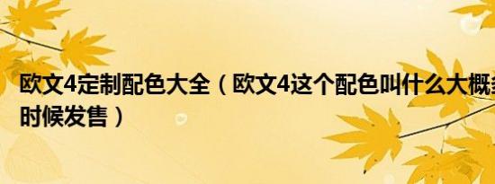 欧文4定制配色大全（欧文4这个配色叫什么大概多少钱什么时候发售）