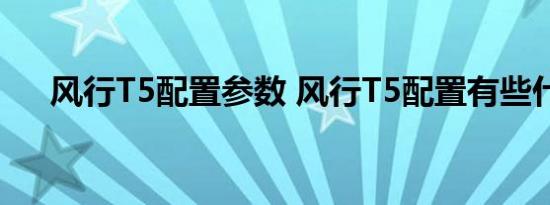 风行T5配置参数 风行T5配置有些什么 