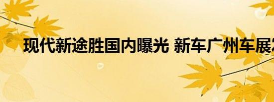 现代新途胜国内曝光 新车广州车展发布