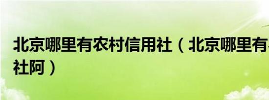 北京哪里有农村信用社（北京哪里有农村信用社阿）