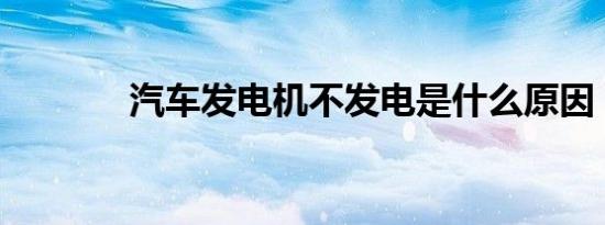 汽车发电机不发电是什么原因