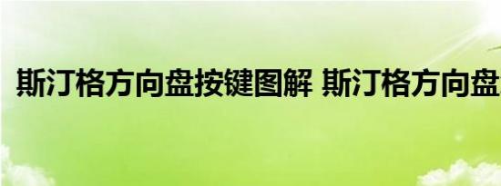 斯汀格方向盘按键图解 斯汀格方向盘怎样？