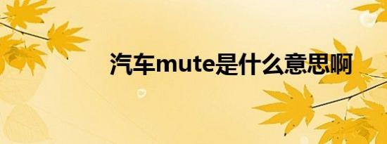 汽车mute是什么意思啊