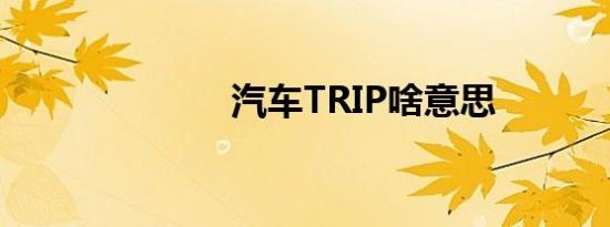 汽车TRIP啥意思