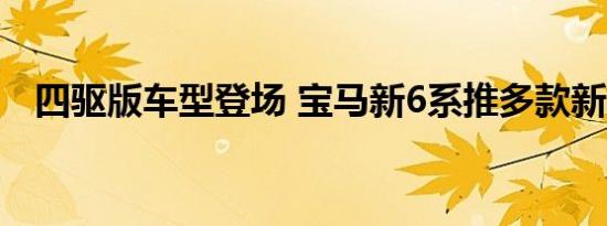 四驱版车型登场 宝马新6系推多款新车型 