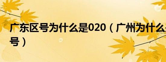 广东区号为什么是020（广州为什么是020区号）