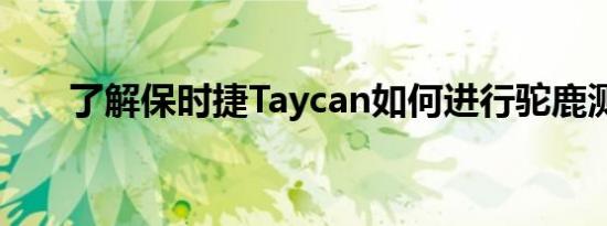 了解保时捷Taycan如何进行驼鹿测试