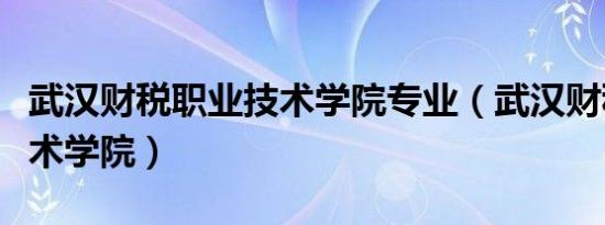 武汉财税职业技术学院专业（武汉财税职业技术学院）