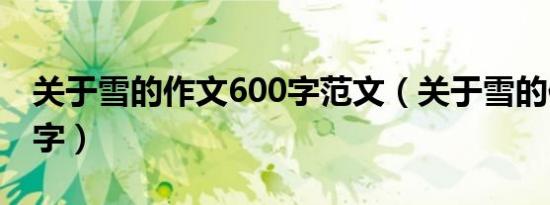 关于雪的作文600字范文（关于雪的作文600字）