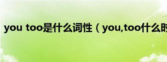 you too是什么词性（you,too什么时候用）