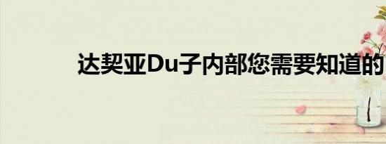 达契亚Du子内部您需要知道的