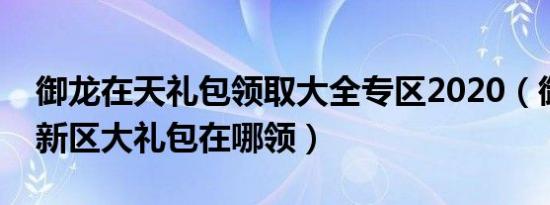 御龙在天礼包领取大全专区2020（御龙在天新区大礼包在哪领）