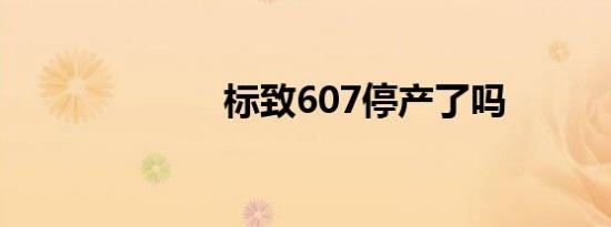 标致607停产了吗