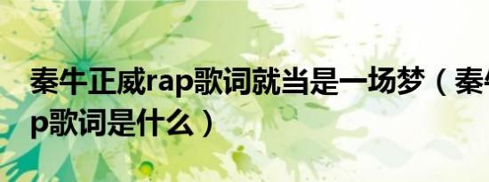 秦牛正威rap歌词就当是一场梦（秦牛正威rap歌词是什么）