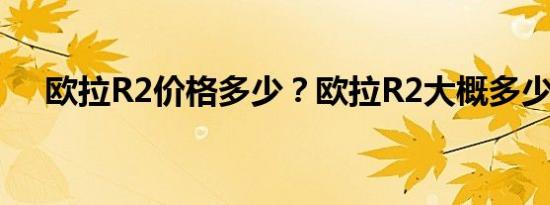 欧拉R2价格多少？欧拉R2大概多少钱？