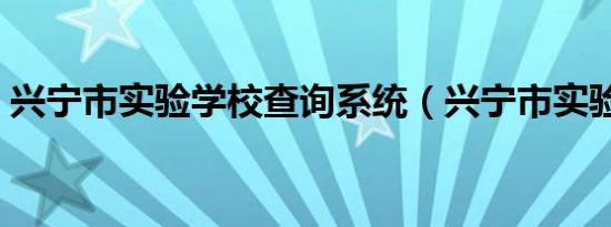 兴宁市实验学校查询系统（兴宁市实验学校）