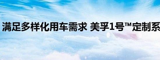 满足多样化用车需求 美孚1号™定制系列上线