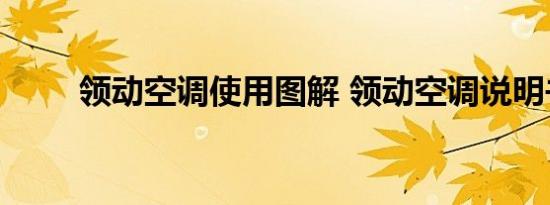 领动空调使用图解 领动空调说明书