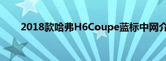 2018款哈弗H6Coupe蓝标中网介绍