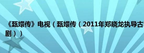 《甄嬛传》电视（甄嬛传（2011年郑晓龙执导古装清宫斗争剧））