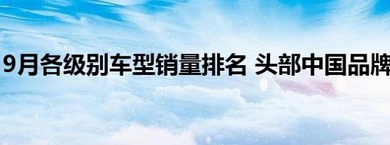 9月各级别车型销量排名 头部中国品牌已回暖