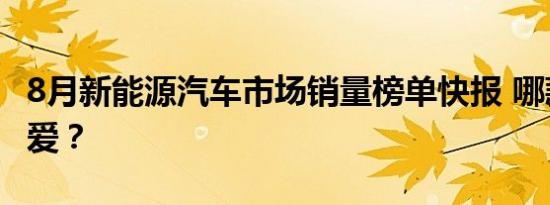 8月新能源汽车市场销量榜单快报 哪款车你最爱？