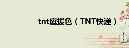 tnt应援色（TNT快递）