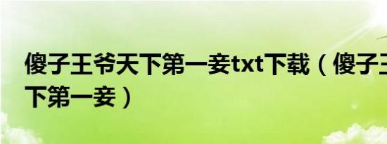 傻子王爷天下第一妾txt下载（傻子王爷：天下第一妾）