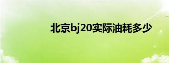 北京bj20实际油耗多少