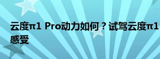 云度π1 Pro动力如何？试驾云度π1Pro动力感受