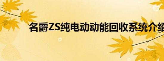 名爵ZS纯电动动能回收系统介绍