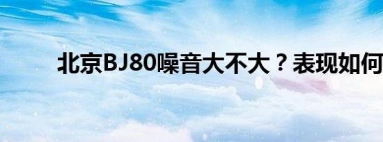 北京BJ80噪音大不大？表现如何？