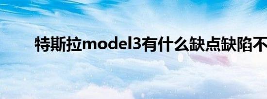 特斯拉model3有什么缺点缺陷不足