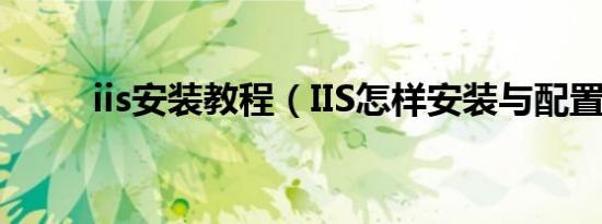 iis安装教程（IIS怎样安装与配置）