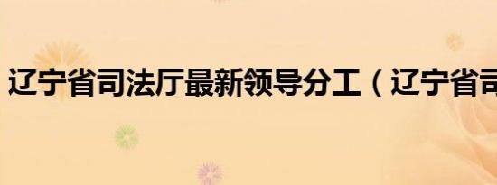 辽宁省司法厅最新领导分工（辽宁省司法厅）