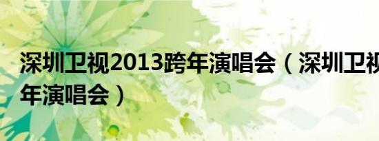 深圳卫视2013跨年演唱会（深圳卫视2013跨年演唱会）