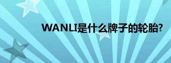 WANLI是什么牌子的轮胎?