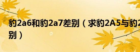 豹2a6和豹2a7差别（求豹2A5与豹2A6的区别）