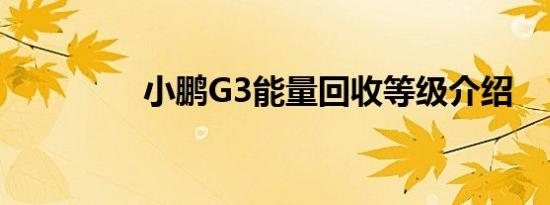 小鹏G3能量回收等级介绍