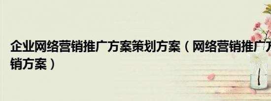 企业网络营销推广方案策划方案（网络营销推广方案 策划营销方案）