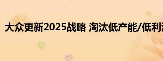 大众更新2025战略 淘汰低产能/低利润车型