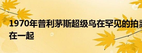 1970年普利茅斯超级鸟在罕见的拍卖会上聚在一起