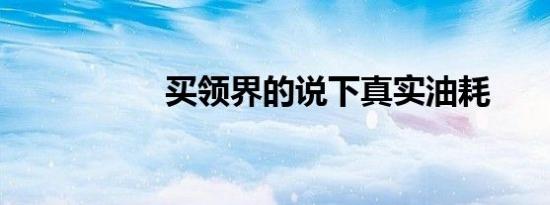 买领界的说下真实油耗