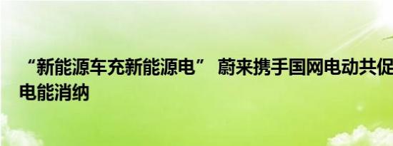 “新能源车充新能源电” 蔚来携手国网电动共促1亿度清洁电能消纳