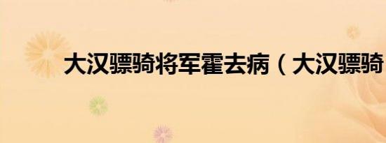 大汉骠骑将军霍去病（大汉骠骑）