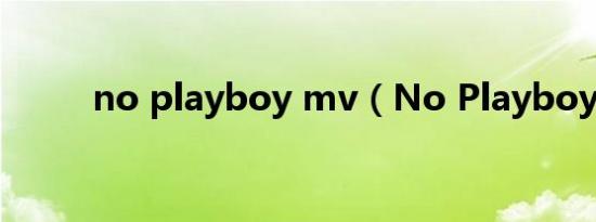 no playboy mv（No Playboy）