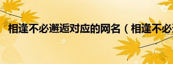 相逢不必邂逅对应的网名（相逢不必邂逅）