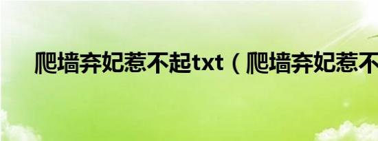 爬墙弃妃惹不起txt（爬墙弃妃惹不起）