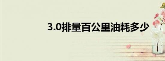 3.0排量百公里油耗多少