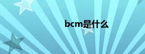 bcm是什么